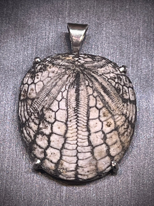 Silver sand dollar pendant